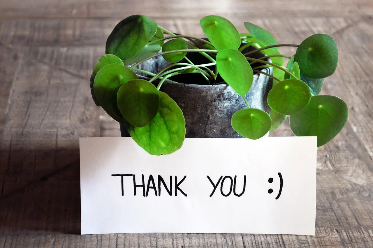 Thank you card with green leaves representing trust and long-term partnership.